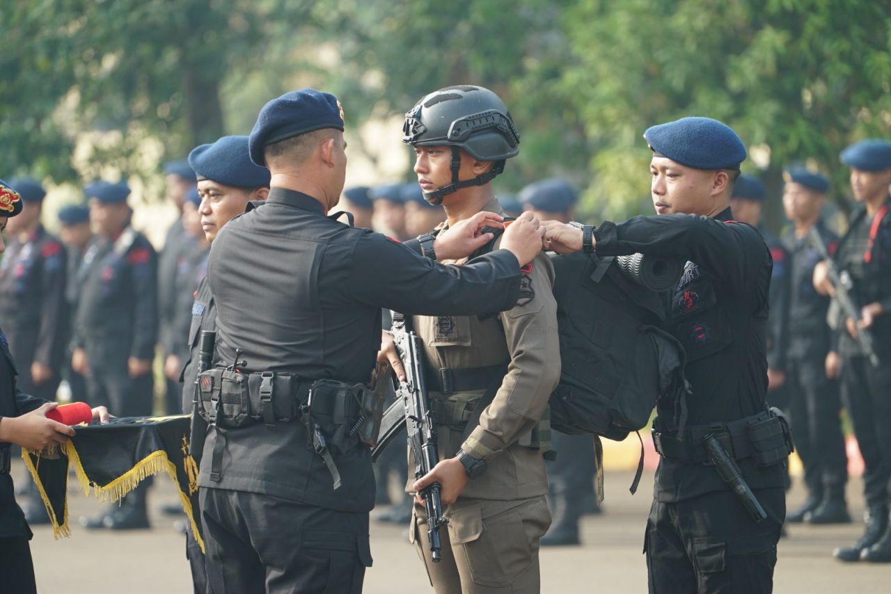 Jum yilda tukli mushuk kompilyatsiya