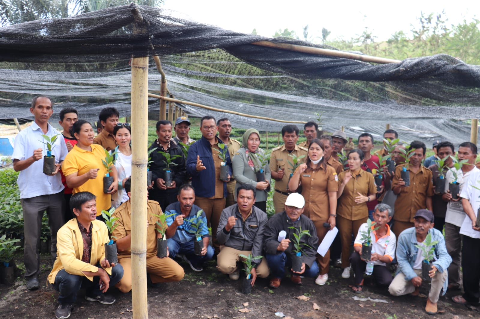 Bupati Toba Menyerahkan 56.700 Bibit Kopi Bersertifikat Siap Tanam Kepada Kelompok Petani Kopi