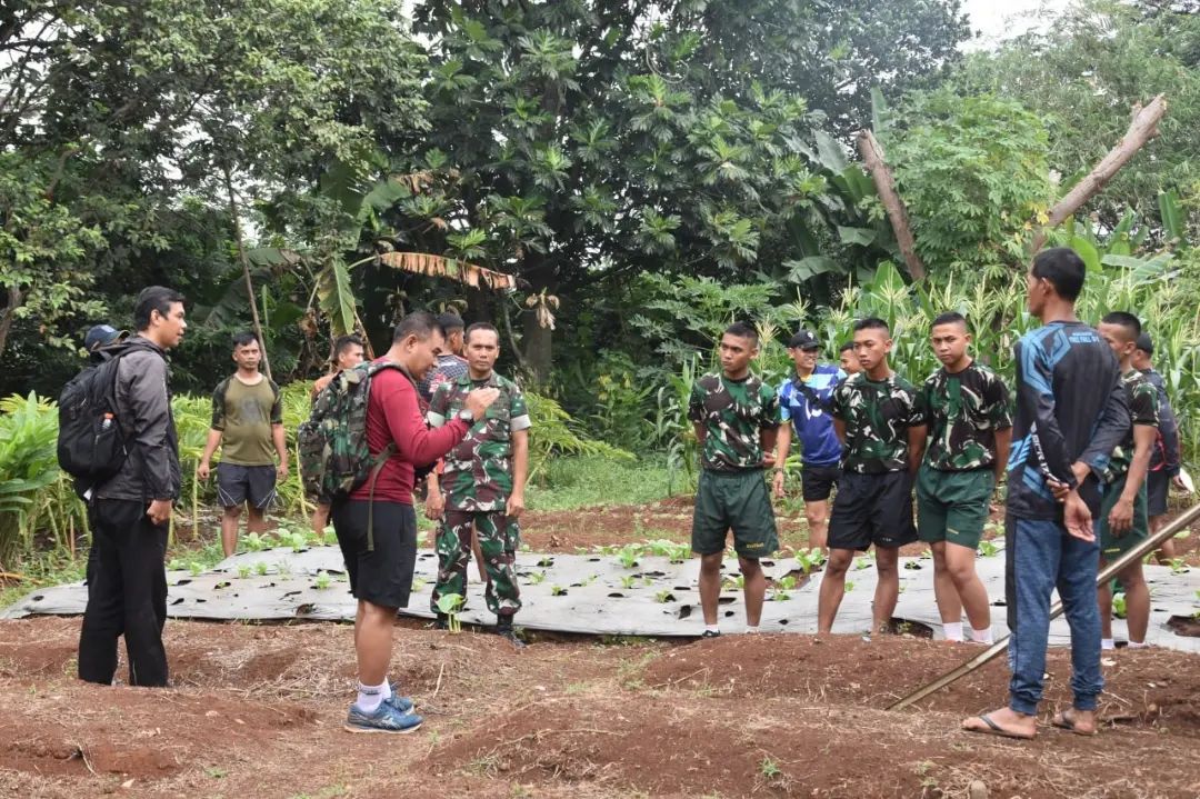 Brigif Para Raider 17/Sbb Kujang I Kostrad Mengadakan Budidaya Pohon Cabe