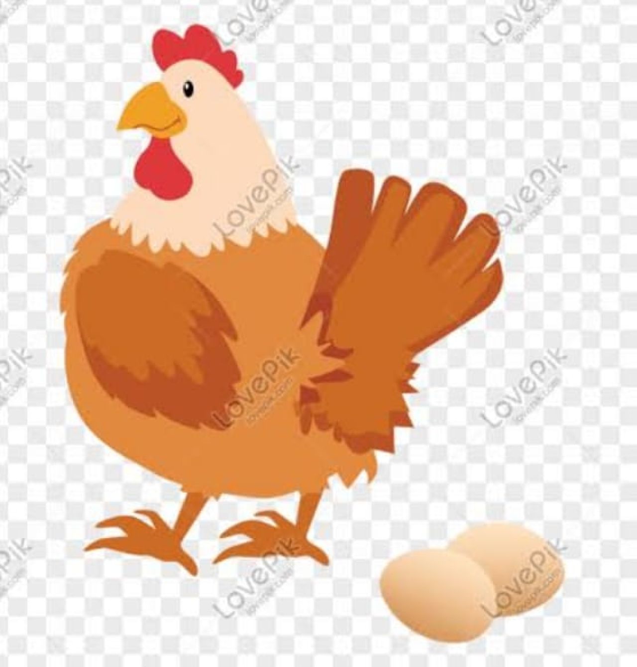 Arti Mimpi Se Ekor Induk Ayam Warna Hijau Ke Emasan Memberikan Telur ke Seseorang