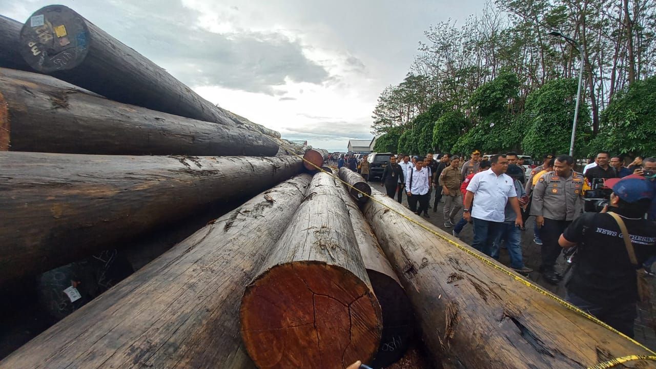 Bareskrim Polri Bongkar IIlegal Logging Di Kalimantan Tengah Dikirim Ke PT. KWI Lamongan