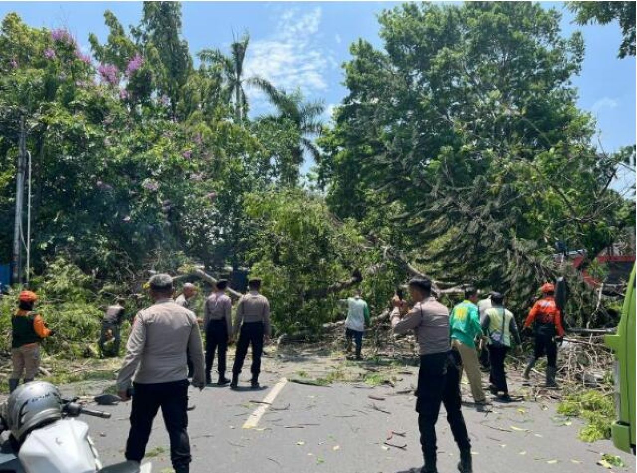 Gerak Cepat, Polres Kediri Kota dan DLHKP Evakuasi Pohon Tumbang