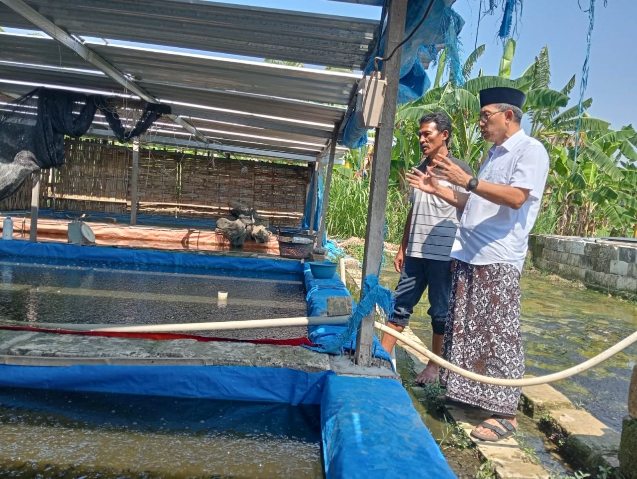 Teguh Haryono Kunjungi Pembibitan Ikan Lele, Siapkan Bojonegoro Menuju Ketahanan Pangan