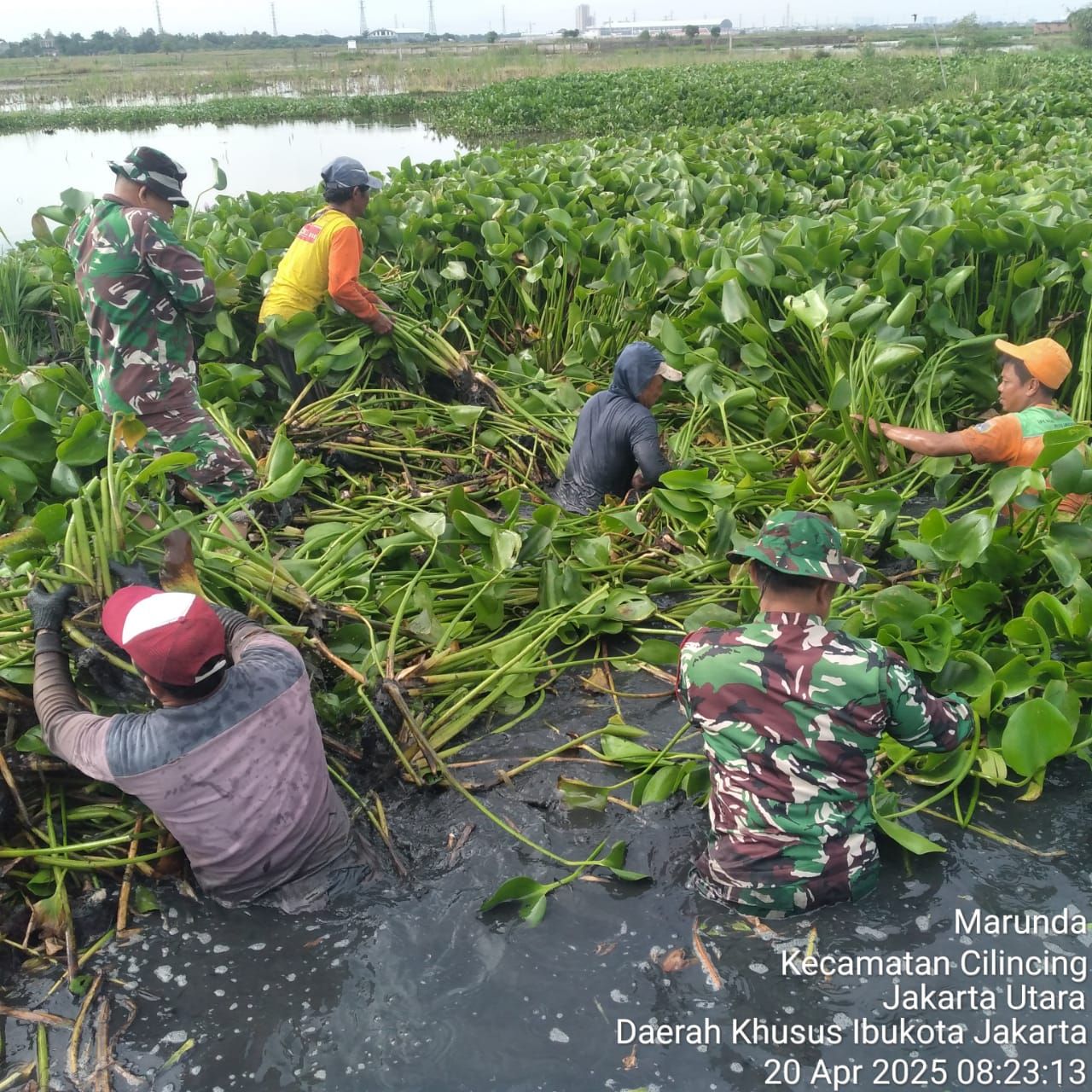 Kerja Bakti Normalisasi Irigasi dan Pembukaan Lahan oleh Poktan Karya Usaha Dukung Ketahanan Pangan di Rorotan
