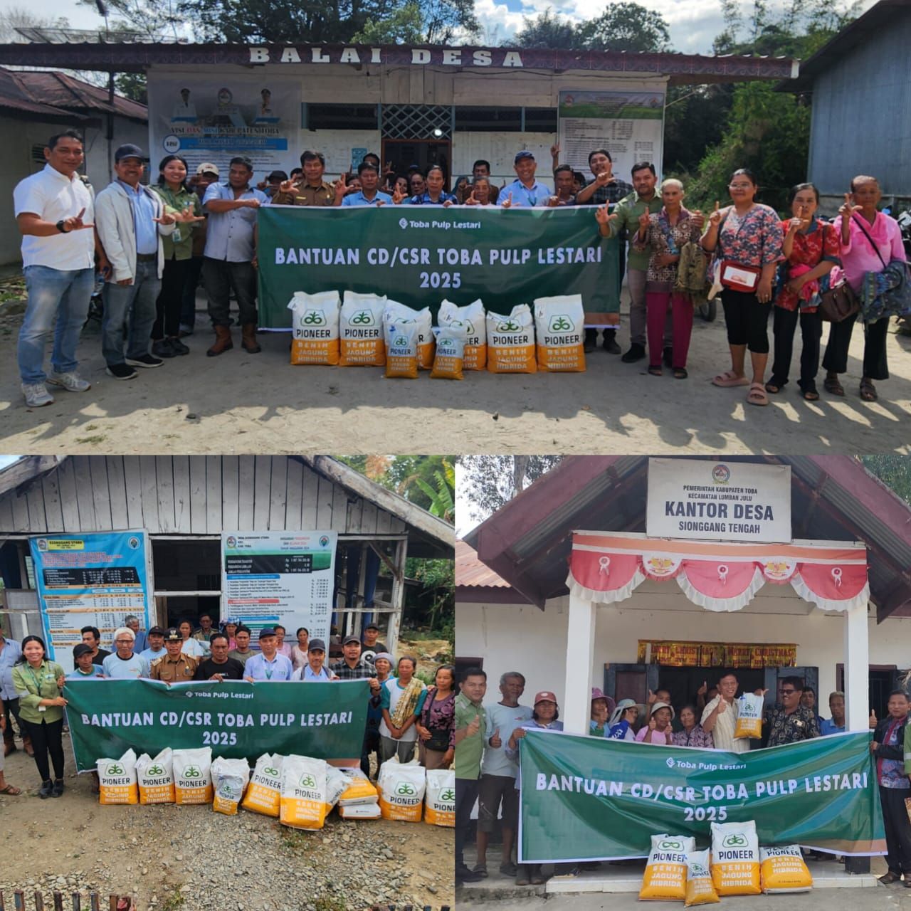 Dukung Ketahanan Pangan, TPL Salurkan Benih Jagung ke Kelompok Tani di 3 Desa Kabupaten Toba