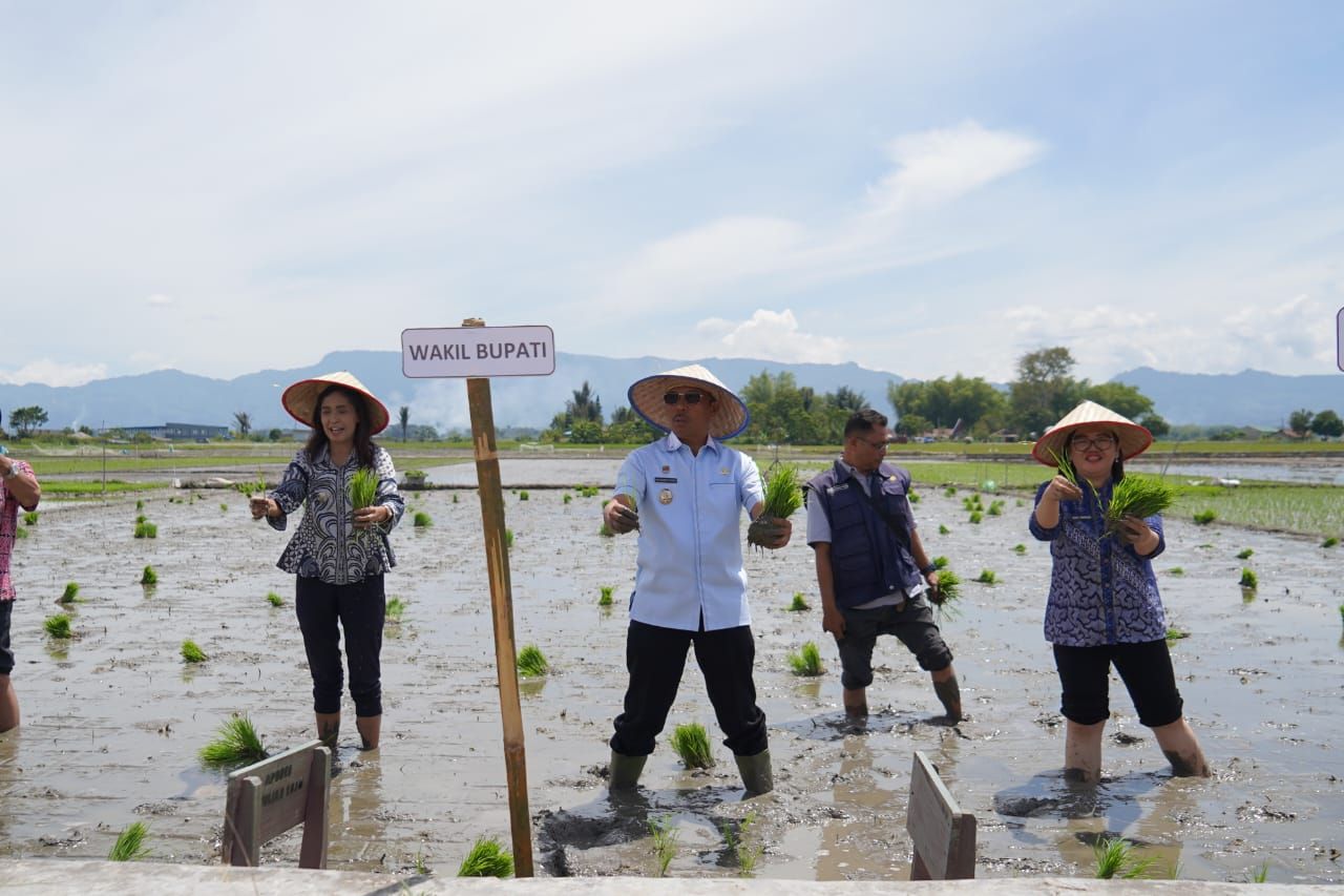 Wabup Toba Audi Murphy Ajak Petani Terapkan Tanam Serentak Demi Panen Maksimal