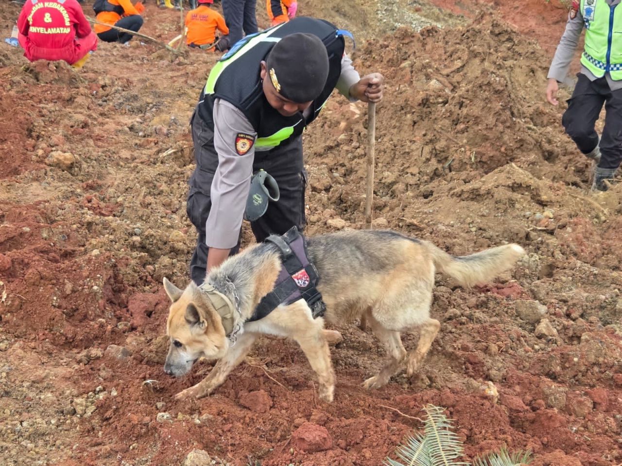 Fokus Pencarian Longsor Cipendeuy: Polri Turunkan Ratusan Personel dan Tim K9 Gabungan