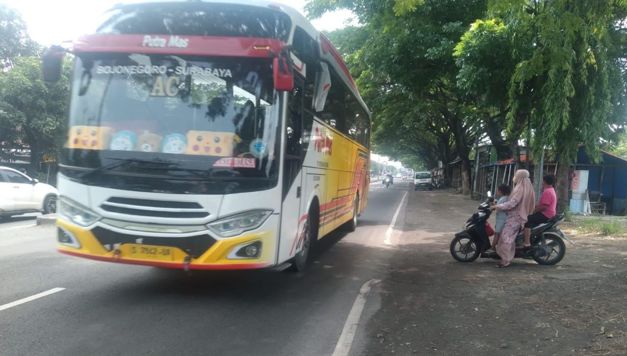 Ratusan Pohon dengan Ranting yang Lapuk di Jalur Nasional Lamongan- Babat Dikeluhkan Masyarakat