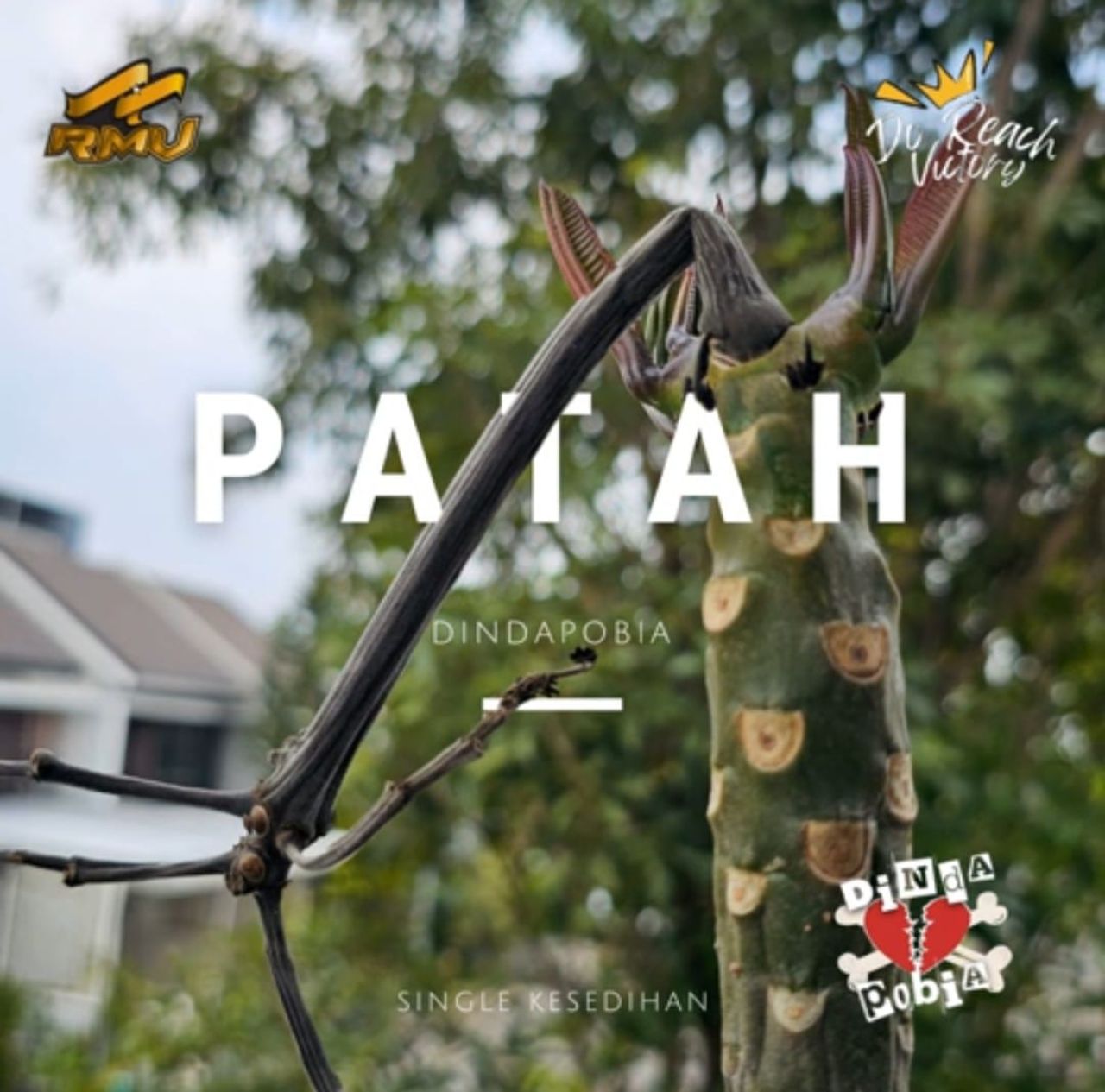 Menjelang Akhir 2025, Dindapobia Rilis “Patah”, Single Pop Punk Sarat Emosi