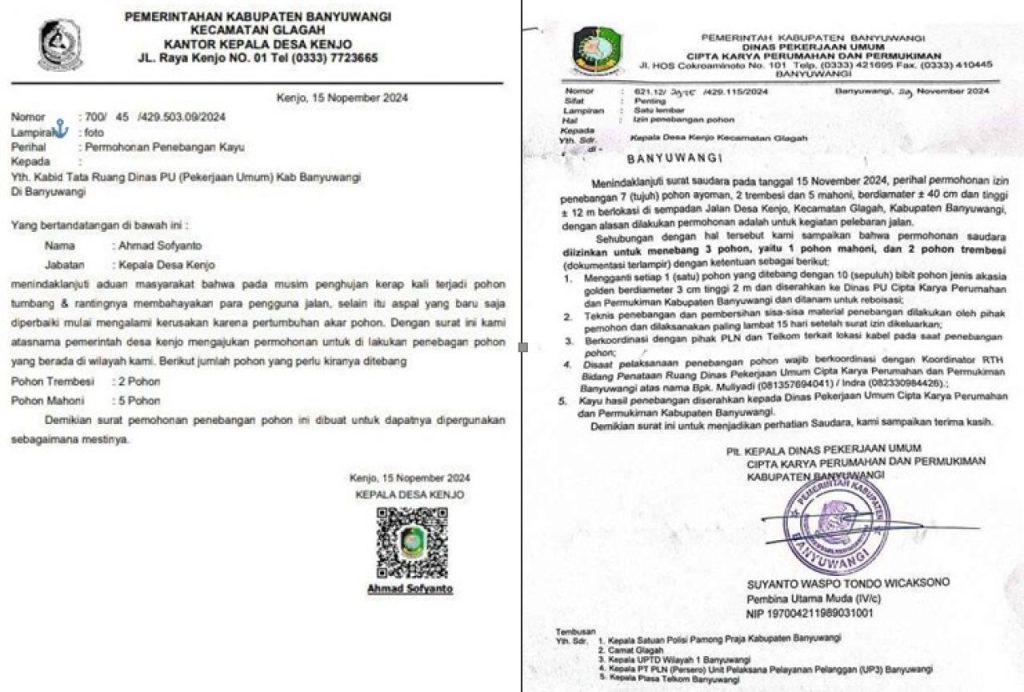 Aroma Tak Sedap Atas Raibnya Pohon Milik Dinas PU CKPP Pemkab Banyuwangi