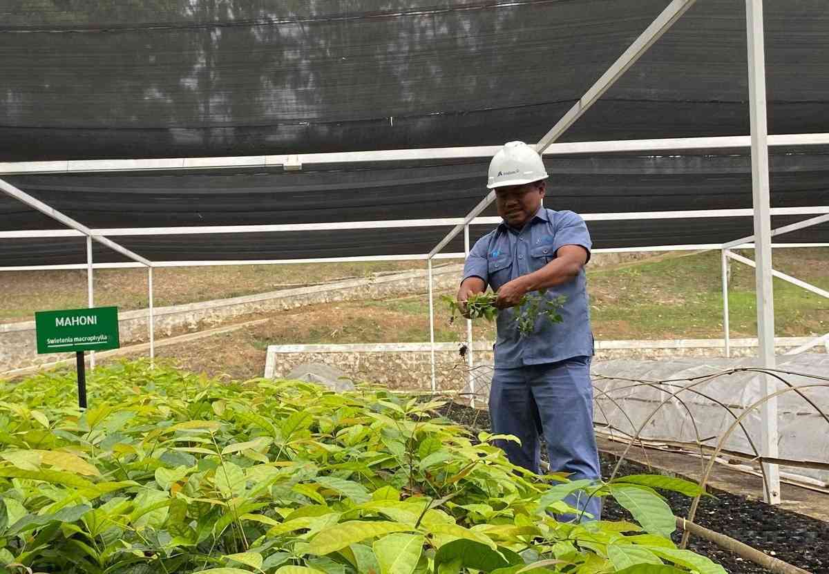 Kepala Divisi Konservasi dan Penghijauan Inalum, Sunarno A. Rakino