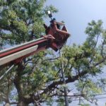 Jalan Nasional Babat-Bojonegoro-Ngawi Semakin Terang dengan 1.192 Titik Lampu LED Baru