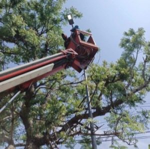 Jalan Nasional Babat-Bojonegoro-Ngawi Semakin Terang dengan 1.192 Titik Lampu LED Baru