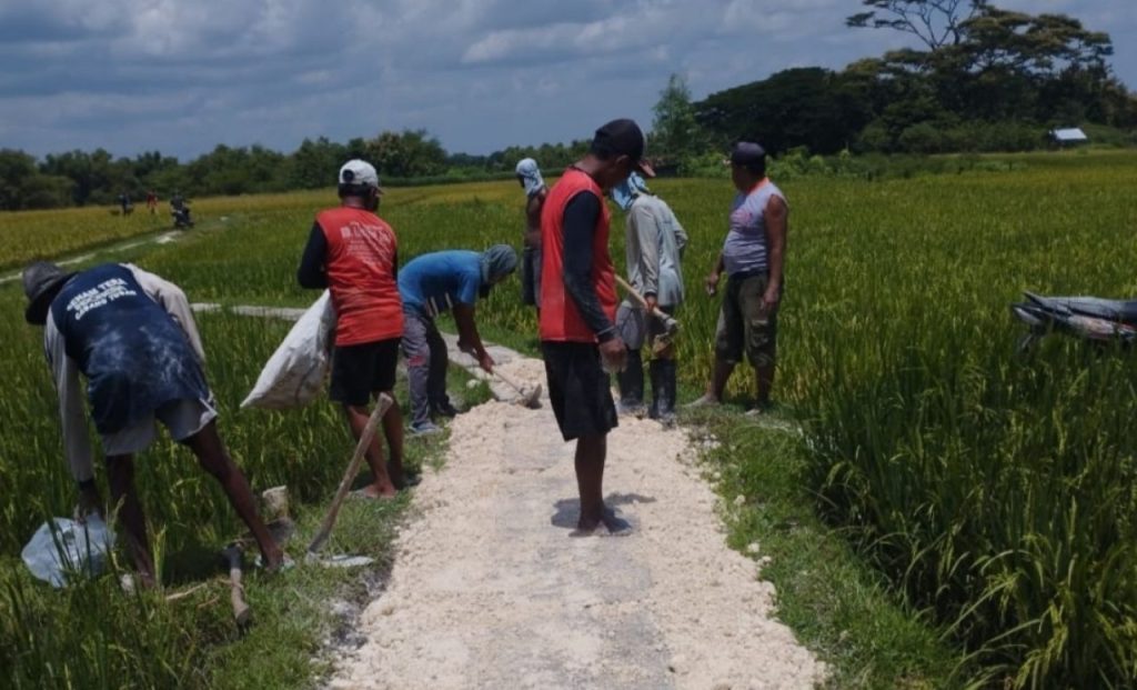 Pemdes Kedungadem Prioritaskan Pembangunan JUT, Permudah Akses Pertanian