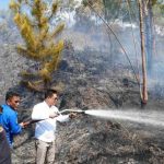 Hutan di Perbukitan Danau Toba Kebakaran, Bupati Humbahas Pimpin Padamkan Kebakaran