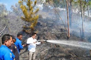 Hutan di Perbukitan Danau Toba Kebakaran, Bupati Humbahas Pimpin Padamkan Kebakaran