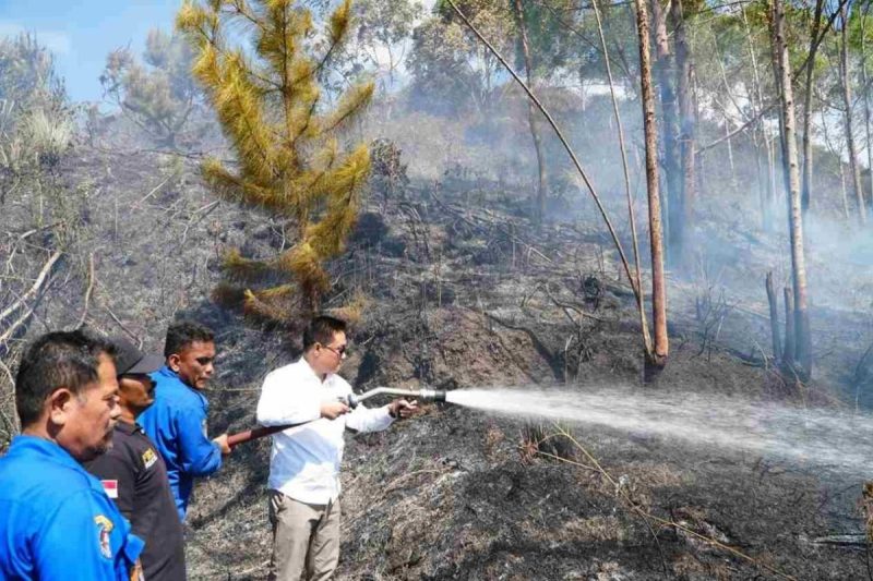 Hutan di Perbukitan Danau Toba Kebakaran, Bupati Humbahas Pimpin Padamkan Kebakaran