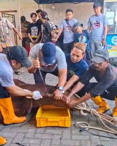 KOMPAK Menuju Jalur Langit: Kurban Dua Sapi dan Tiga Kambing Menyambut Idul Adha 1446 H