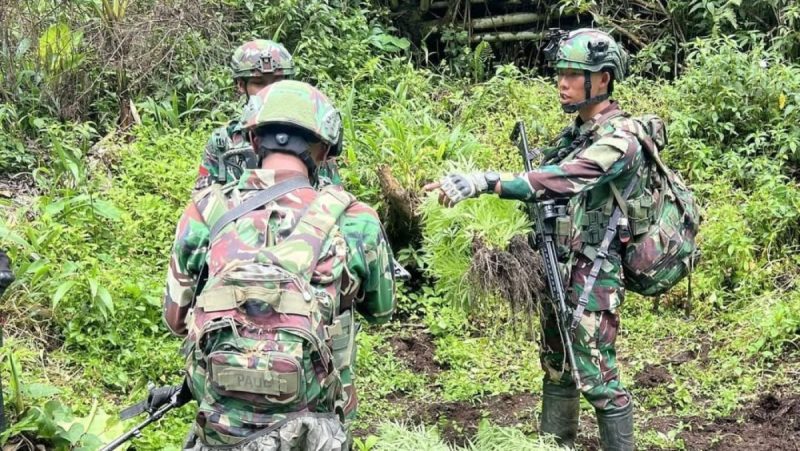 Satgas Pamtas RI–PNG Bongkar 4 Kebun Ganja Tersembunyi di Pegunungan Bintang, 297 Batang Dimusnahkan