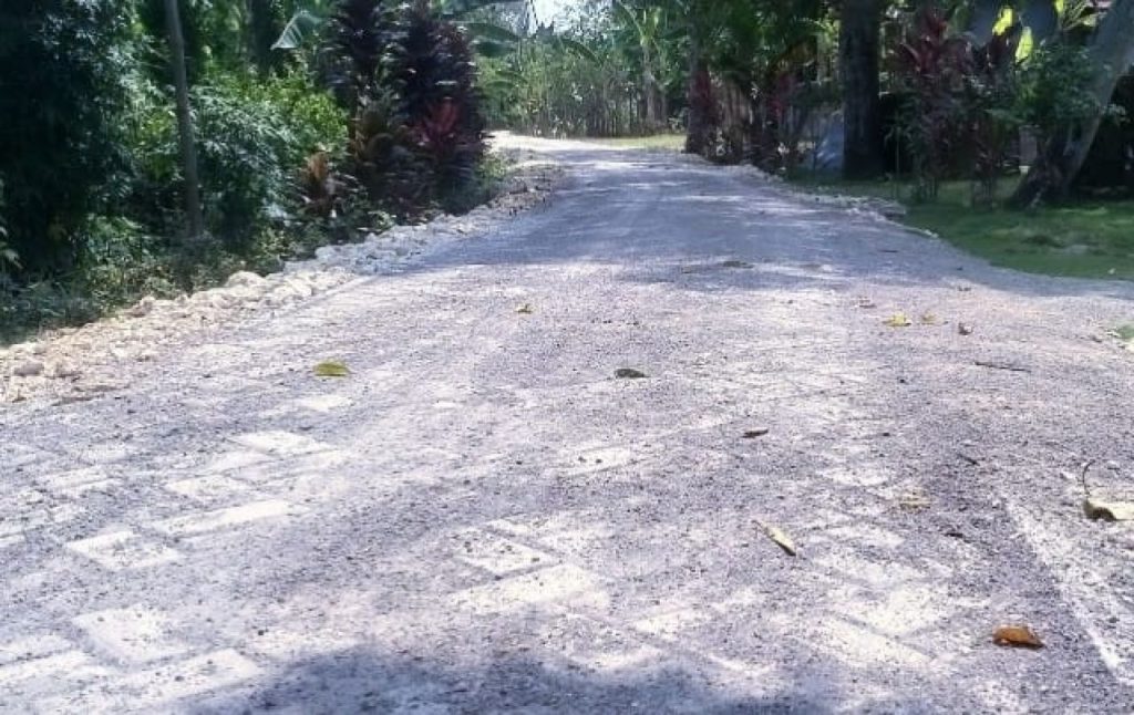 Percepatan Pembangunan, Pemdes Mori Trucuk Laksanakan Pavingisasi
