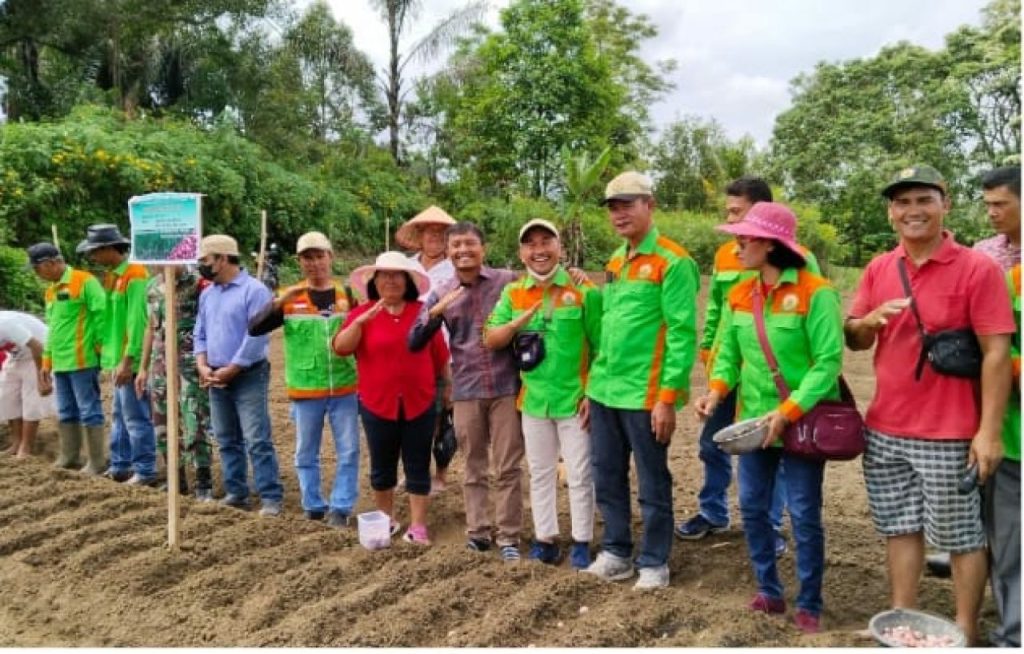 Wakil Bupati Toba Tonny Simanjuntak , Mengajak Masyarakat Toba Untuk Menanam Bawang Varietas Batu Ijo