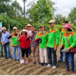 Wakil Bupati Toba Tonny Simanjuntak , Mengajak Masyarakat Toba Untuk Menanam Bawang Varietas Batu Ijo
