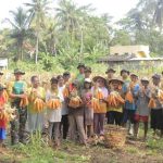 Nikmati Program Ketahanan Pangan, Yonif MR 412 Kostrad Bersama Masyarakat Panen Jagung