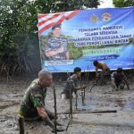 Jelang Penanaman Mangrove Serentak, Lanal Bintan Siapkan Mangrove Di Sei Tiram Bintan