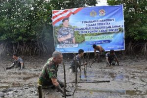 Jelang Penanaman Mangrove Serentak, Lanal Bintan Siapkan Mangrove Di Sei Tiram Bintan