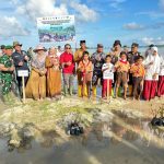 Lanal Simeulue Beserta Unsur Forkopimda dan Masyarakat Laksanakan Penanaman Mangrove Serentak Dipimpin Presiden RI