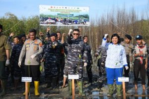 TNI AL Lanal TBA Sukseskan Penanaman Mangrove Jajaran TNI Serentak Seluruh Indonesia