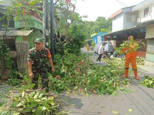 Babinsa Koramil 07/Kemayoran Bersama PPSU Melaksanakan Kegiatan Penopingan Pohon