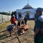 Disnakkan Bojonegoro Bagi-bagi Tips Penyembelihan Hewan Kurban