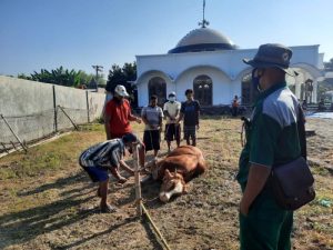 Disnakkan Bojonegoro Bagi-bagi Tips Penyembelihan Hewan Kurban