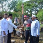 Saling Berbagi, Lanal Dumai Serahkan Hewan Qurban Di Hari Raya Idul Adha 1444 H/2023 M