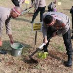 Perbaiki Kualitas Udara Jakarta, Polda Metro Jaya Gencarkan Penanaman 15.000 Pohon