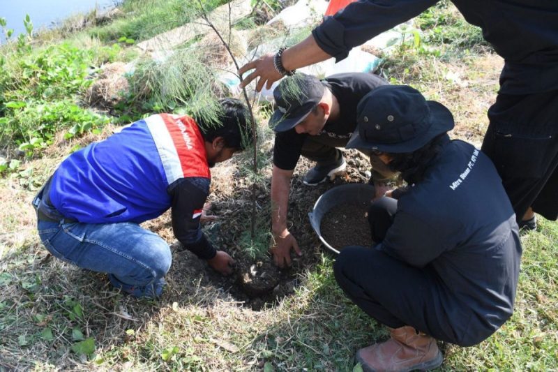 PT KPI RU VI Balongan Tanam 100 Bibit Pohon Cemara di Pesisir Pantai