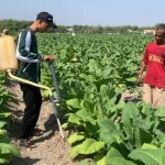 Masyarakat Tegalkodo Apresiasi Alat Penabur Benih Mahasiswa Unugiri