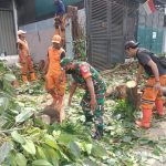 Babinsa Koramil 04/Gambir Melaksanakan Kerja Bakti Bersama PPSU