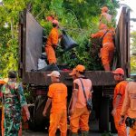 Babinsa Koramil 02/Sawah Besar Bersama Anggota PPSU Melaksanakan Kerja Bakti Bersama