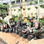 Koramil 02/Matraman Dukung Ketahanan Pangan Wilayah Dengan Giat Urban Farming