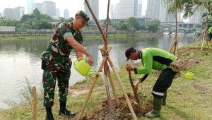 Jaga Keseimbangan Ekosistem Alam Koramil 05/Tanah Abang Melaksanakan Penanaman Pohon Serentak