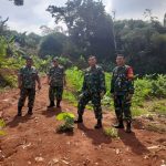 Dukung Ketahanan Pangan, Kodim 0505/JT Buka Lahan Urban Farming