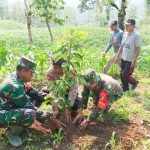 Lestarikan Lingkungan, Kodim Bojonegoro tanam Ribuan Pohon Penghijauan