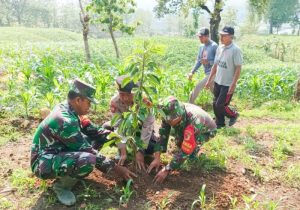 Lestarikan Lingkungan, Kodim Bojonegoro tanam Ribuan Pohon Penghijauan