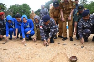 Pelepasan Tukik Dalam Rangkaian Serah Terima Posal Pulau Jemur ke Lanal Dumai