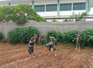 Bantu Program Ketahanan Pangan, Babinsa Koramil 03/Teluk Pucung Bantu Petani Siapkan Lahan Urban Farming