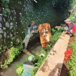 Karya Bakti TNI Koramil 04/Jatiasih Libatkan Stakeholder dan Warga Untuk Melakukan Pembersihan Lingkungan