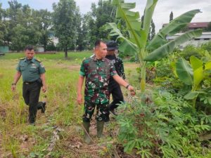 Dukung Ketahanan Pangan Nasional Korem 051/Wijayakarta Tinjau Urban Farming