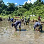 Wujudkan Sinergitas TNI-Polri, Babinpotmar Lanal Simeulue Ikuti Penanaman Mangrove Serentak